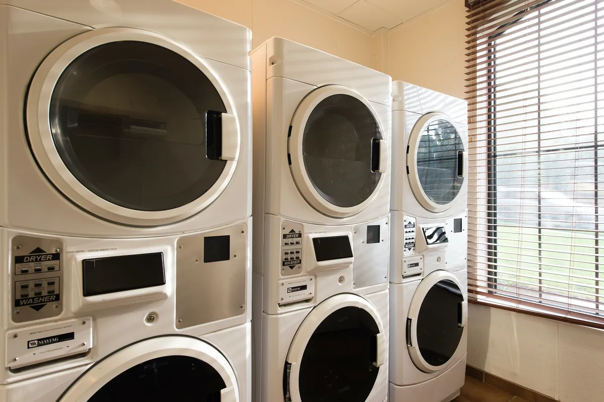 A practical on-site laundry area with multiple washing machines and dryers, complemented by a window letting in natural light, offering a clean and efficient space for laundry routines.